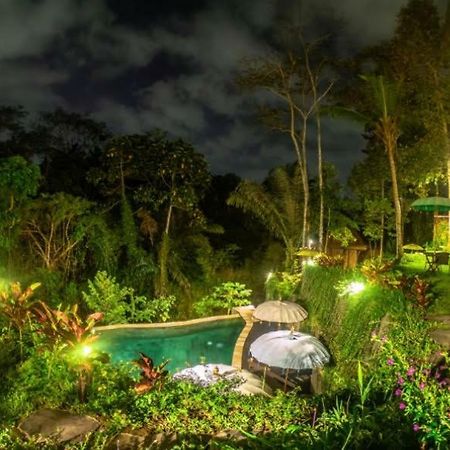 The Jungle Villa Ubud Zewnętrze zdjęcie
