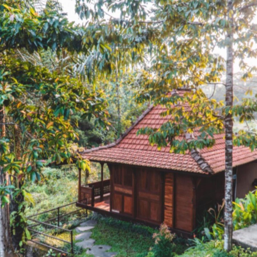 The Jungle Villa Ubud Zewnętrze zdjęcie
