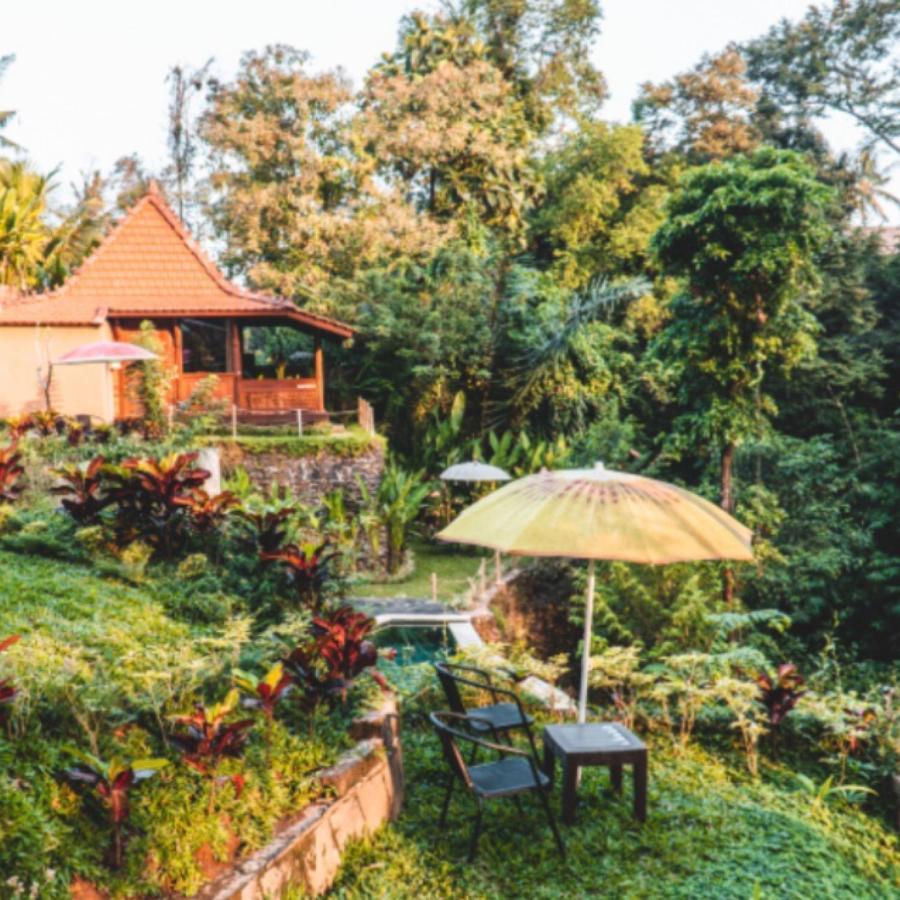 The Jungle Villa Ubud Zewnętrze zdjęcie