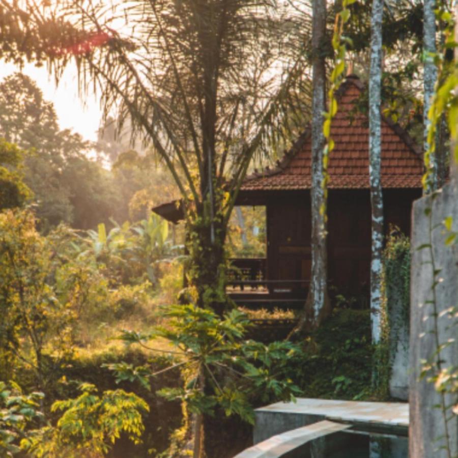 The Jungle Villa Ubud Zewnętrze zdjęcie