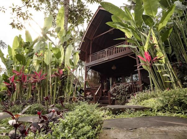 The Jungle Villa Ubud Zewnętrze zdjęcie