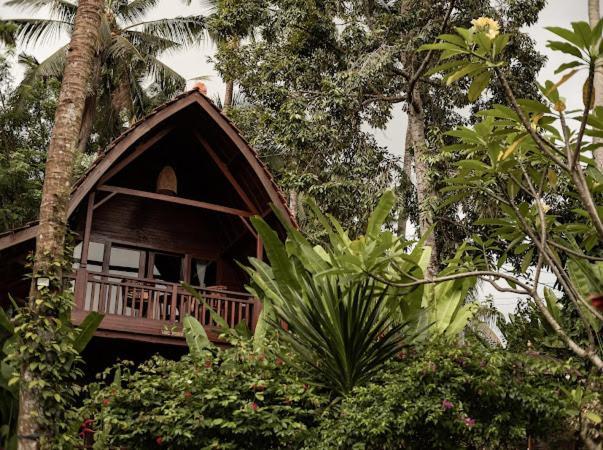 The Jungle Villa Ubud Zewnętrze zdjęcie