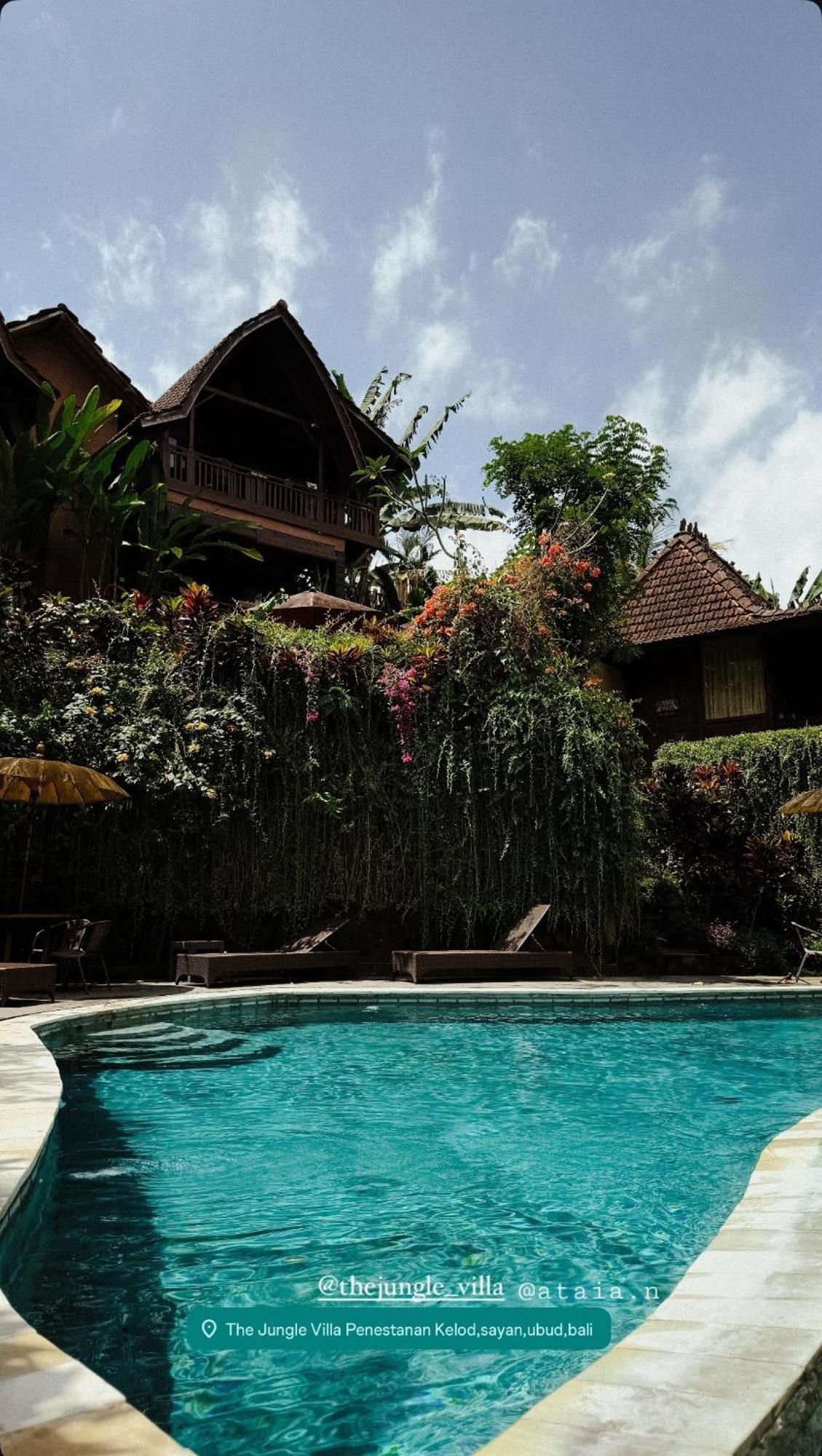The Jungle Villa Ubud Zewnętrze zdjęcie