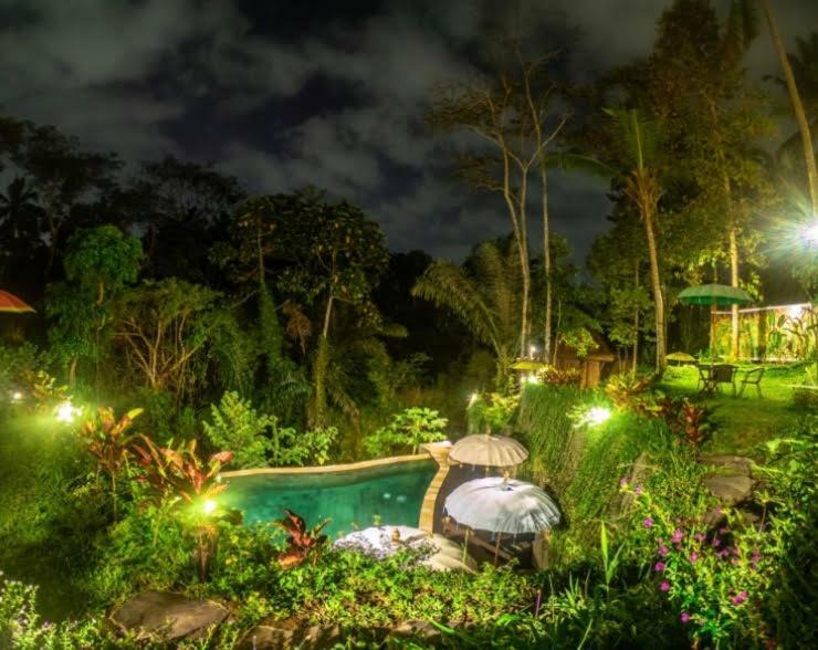 The Jungle Villa Ubud Zewnętrze zdjęcie