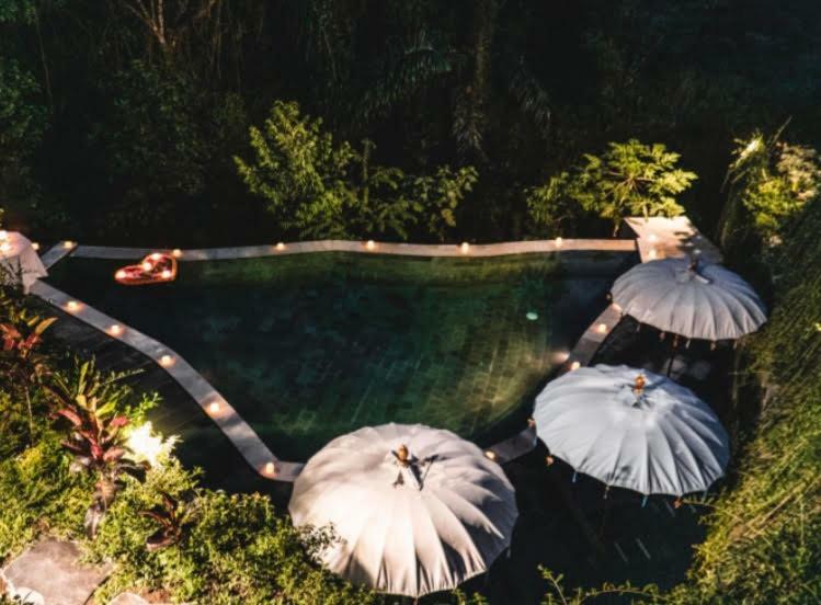 The Jungle Villa Ubud Zewnętrze zdjęcie