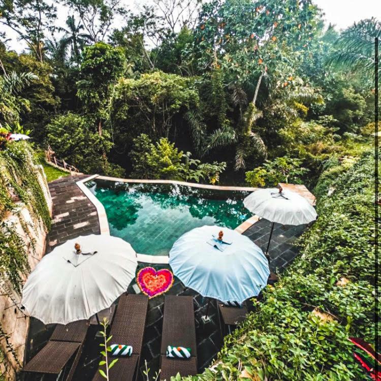 The Jungle Villa Ubud Zewnętrze zdjęcie