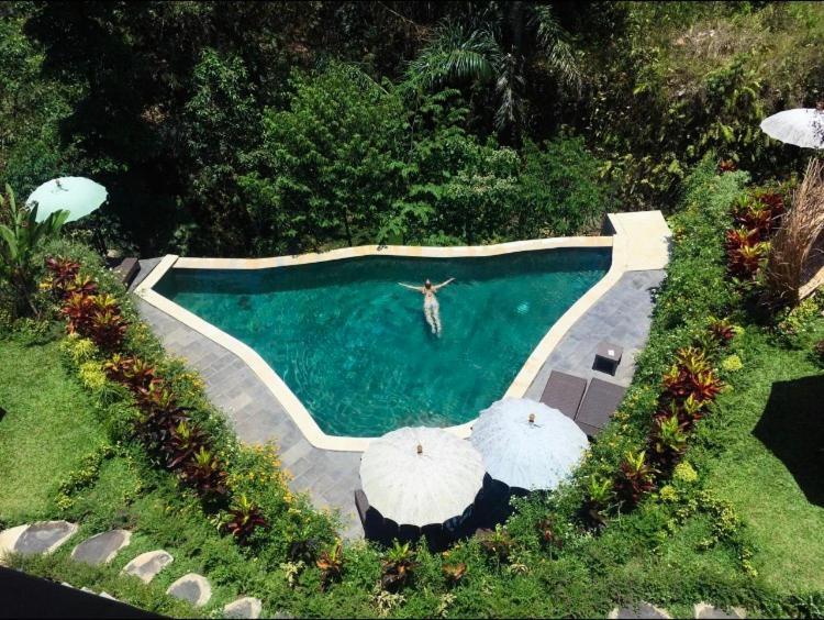 The Jungle Villa Ubud Zewnętrze zdjęcie